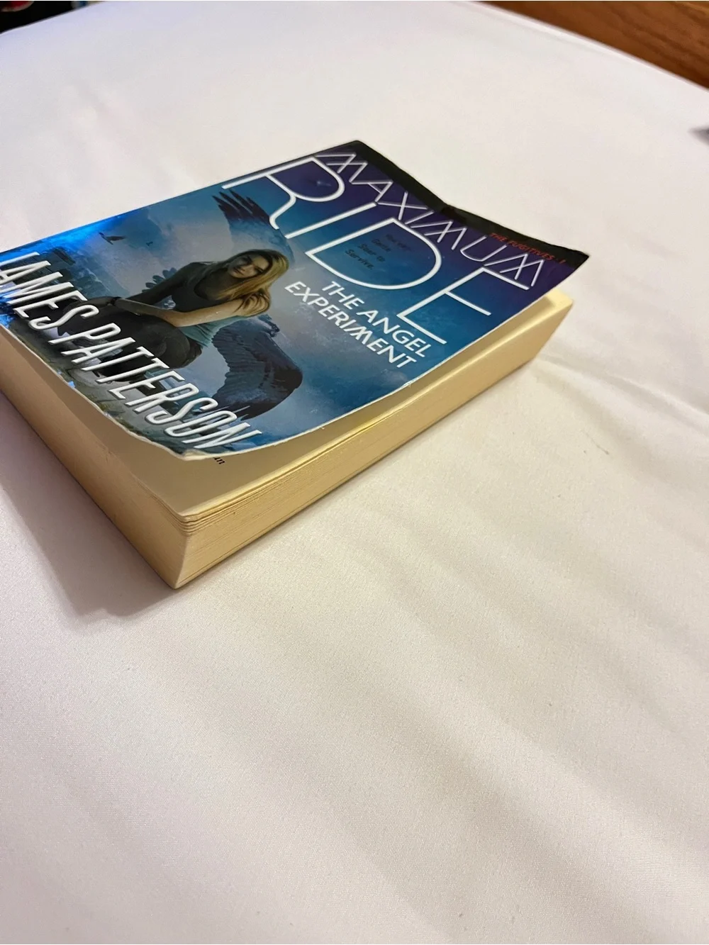 Maximum ride maximum ride